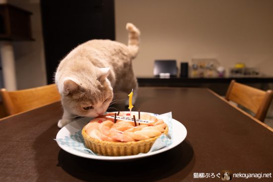 柳三郎1歳の誕生日