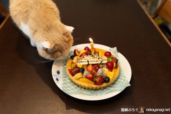 柳三郎2歳の誕生日