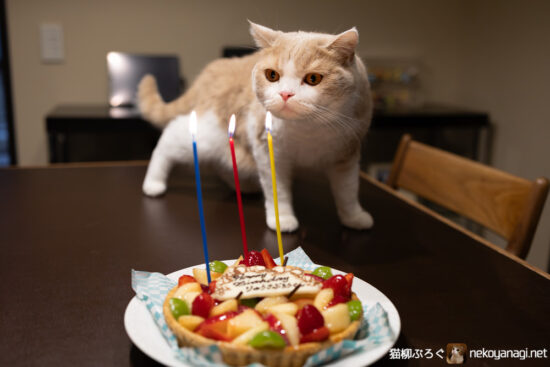 柳三郎3歳の誕生日