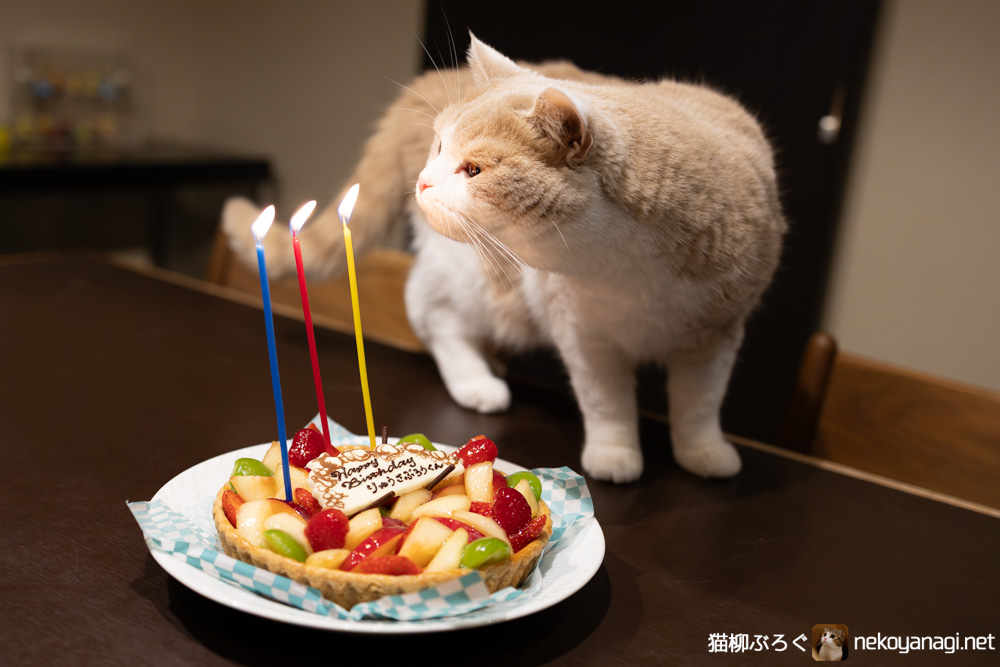 メラメラ…