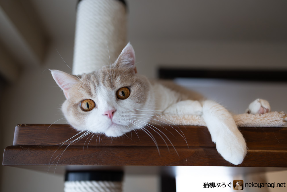 ここも好き